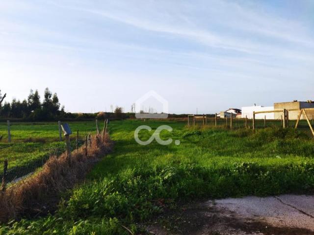 Terrenos Marinha Grande Leiria DLS79204571