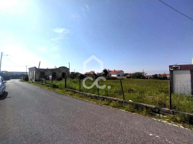 Terrenos Marinha Grande Leiria DLS79204619