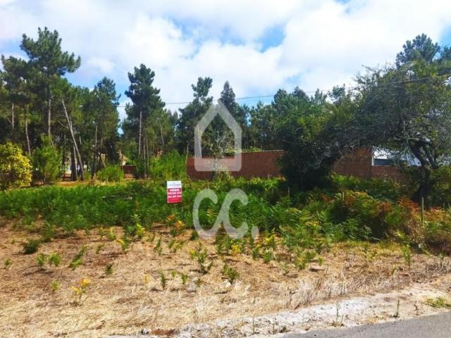 Terrenos Marinha Grande Leiria DLS93696994