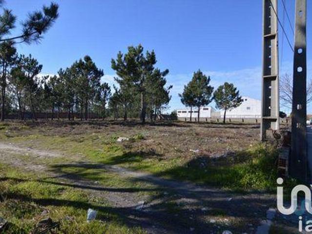 Terrenos Marinha Grande Leiria DLS95749724