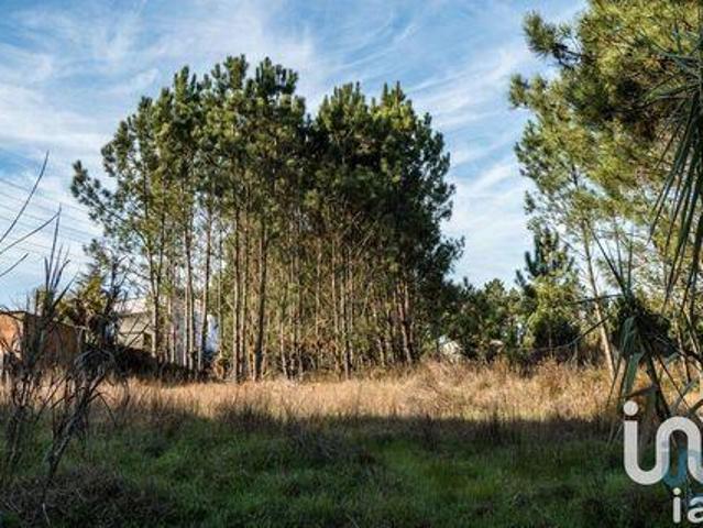 Terrenos Marinha Grande Leiria DLS95329199