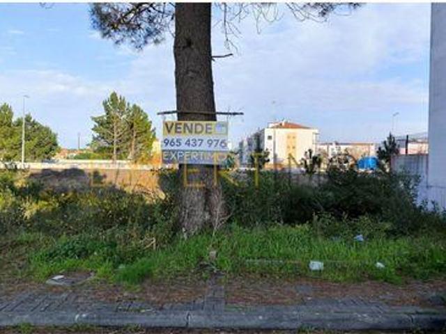 Terrenos Marinha Grande Leiria DLS96890641