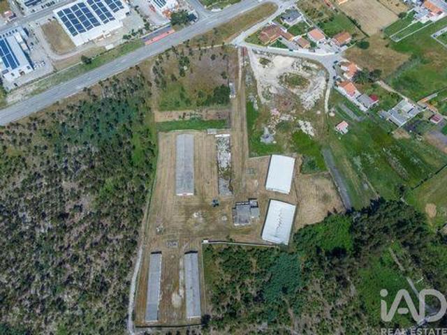 Terrenos Marinha Grande Leiria DLS99608016