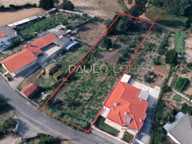 Terrenos Marinha Grande Leiria DS83934003