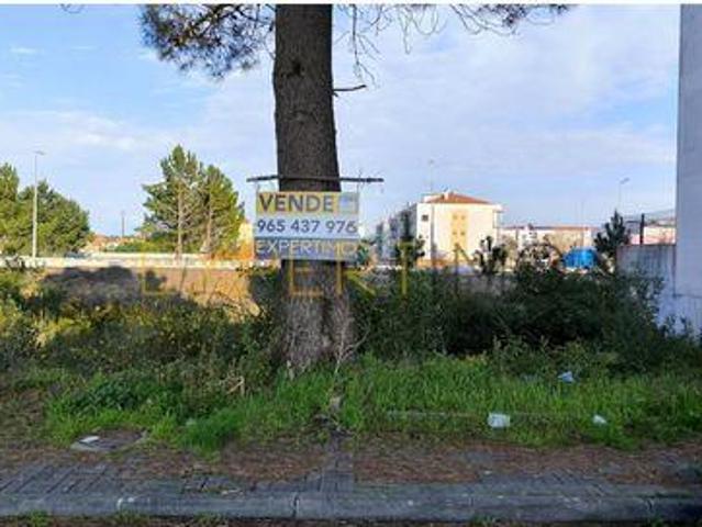 Terrenos Marinha Grande Leiria DS88537257