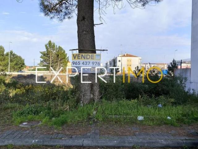 Terrenos Marinha Grande Leiria DS91598545