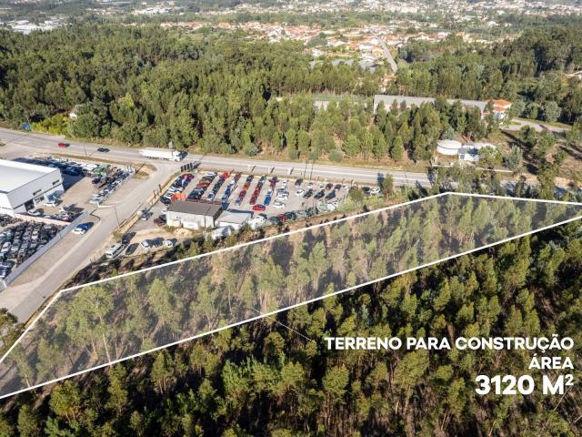 Terrenos Mealhada Aveiro 3050 181 DS86924749