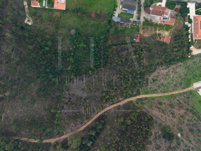 Terrenos Mealhada Mealhada DLS97121369