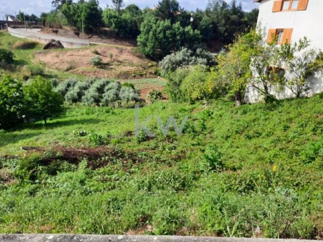 Terrenos Mealhada Mealhada DS99108539