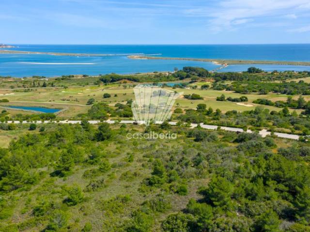 Terrenos Meia Praia Lagos 8600 DS99046408