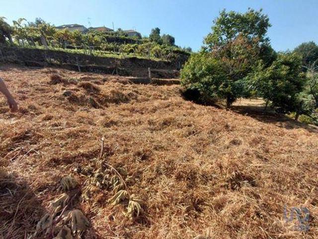 Terrenos Melgaco Viana Do Castelo DLS93977554