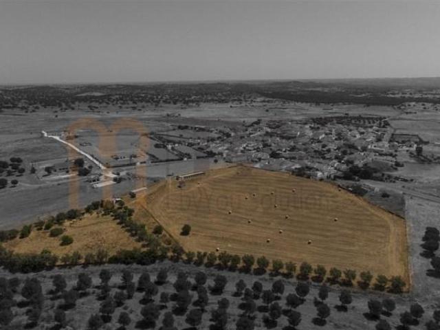 Terrenos Mértola Mértola DLS93536603
