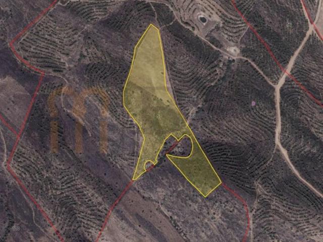 Terrenos Mértola Mértola DLS99112851