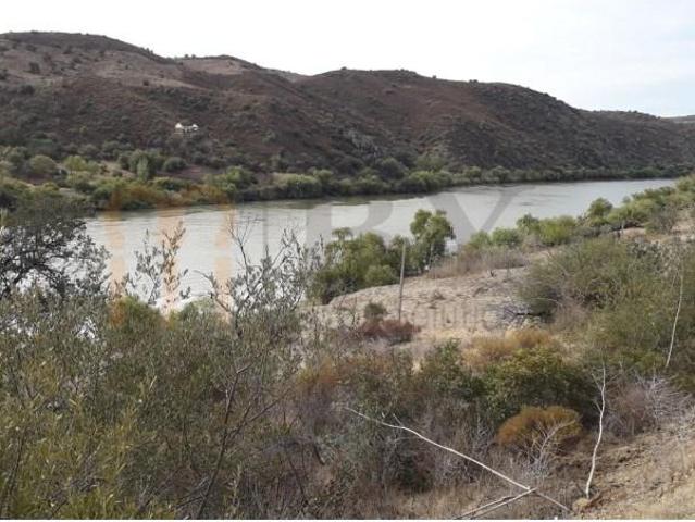 Terrenos Mértola Mértola DS97123864