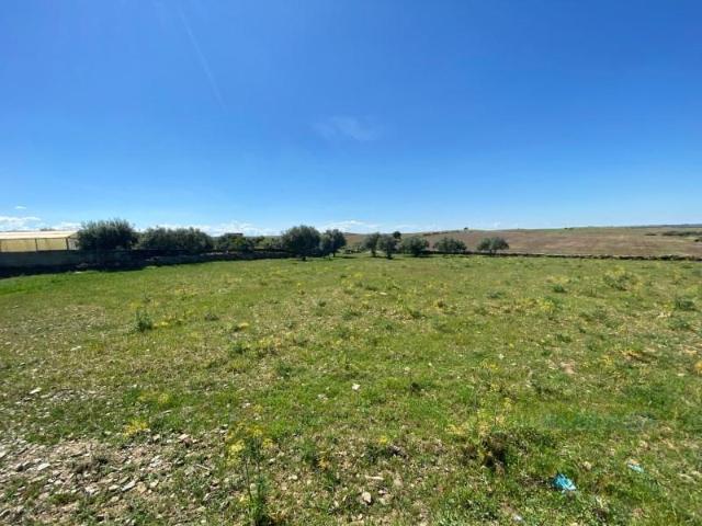 Terrenos Mértola Mértola DS100534156