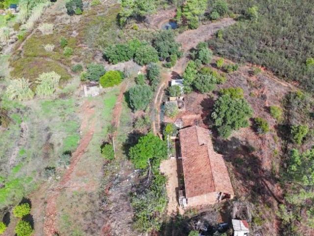 Terrenos Mexilhoeira Grande Algarve DLS98403756