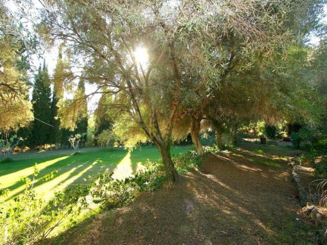 Terrenos Mijas Málaga 101125027