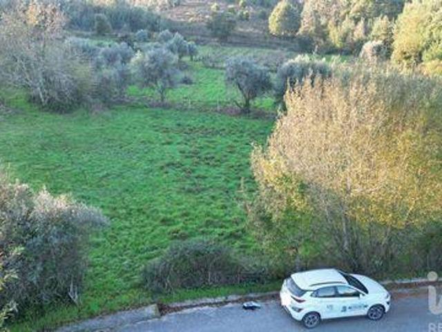Terrenos Miranda Do Corvo Coimbra DLS97113407