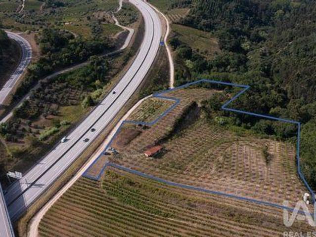 Terrenos Miranda Do Corvo Coimbra DS88379284