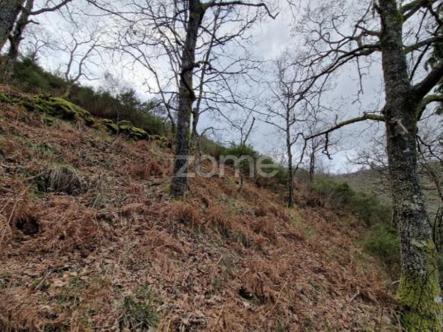 Terrenos Montalegre Montalegre DS102129887