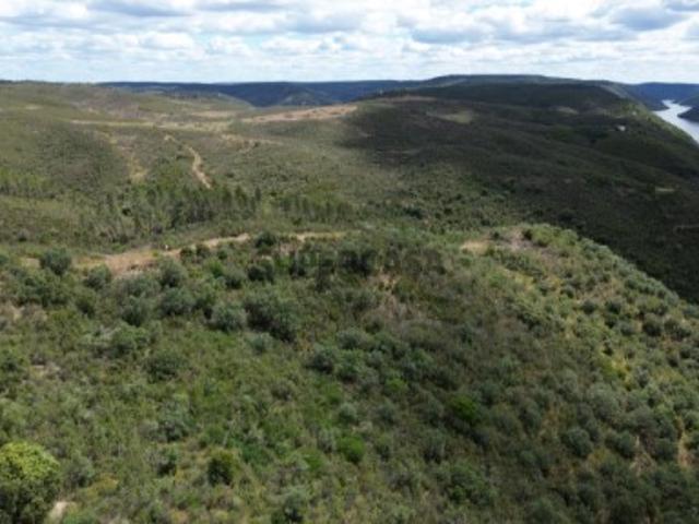 Terrenos Monte Fidalgo