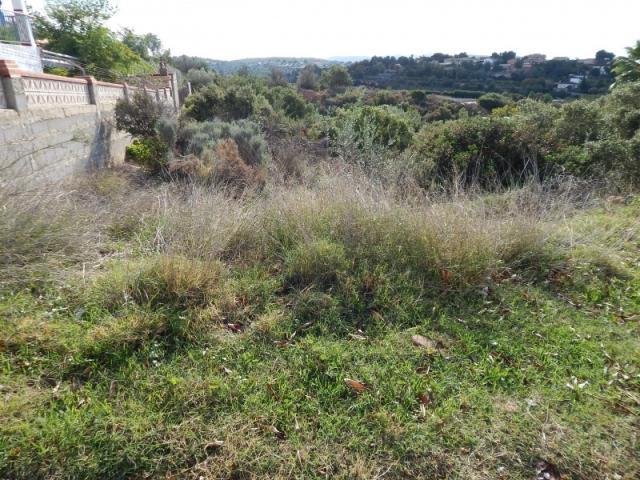 Terrenos Monte Rosado Valencia LS78111435