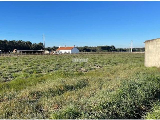 Terrenos Montijo Montijo 2985 DLS92600417