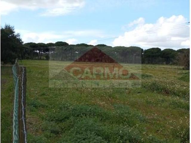 Terrenos Montijo Montijo DLS88679645