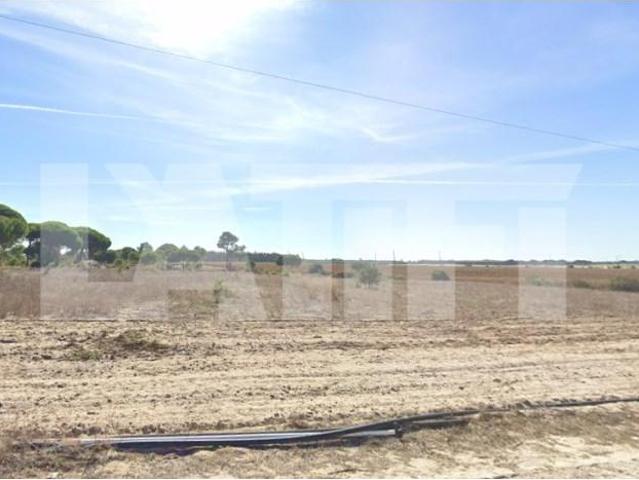 Terrenos Montijo Montijo DLS95147855