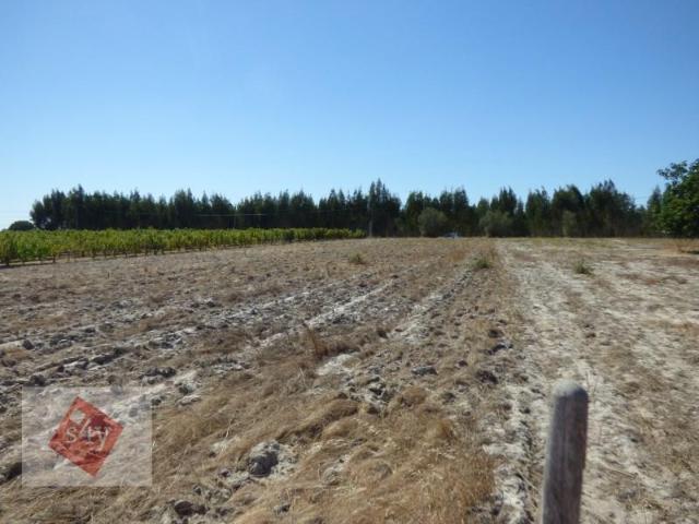 Terrenos Montijo Montijo DLS97118717