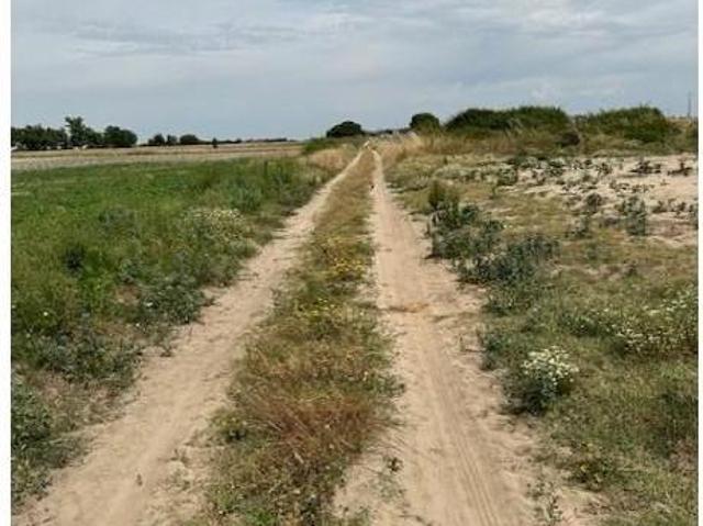 Terrenos Montijo Montijo DLS97121528