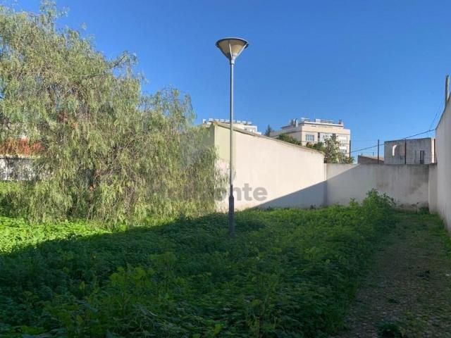 Terrenos Montijo Montijo DLS98963970