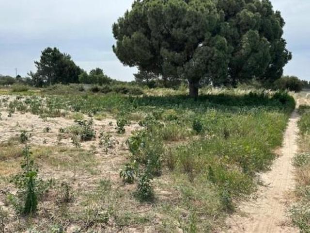 Terrenos Montijo Montijo DS89769488