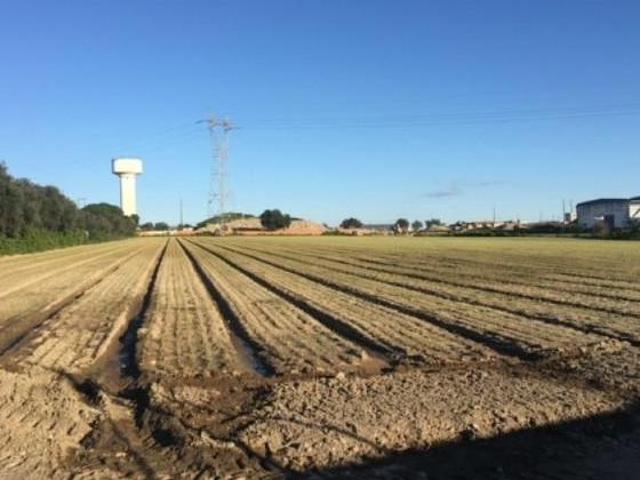 Terrenos Montijo Montijo DS97123712