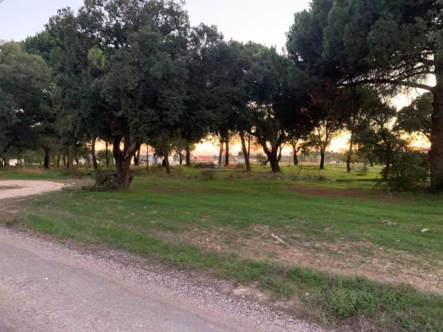 Terrenos Montijo Montijo DS101711970
