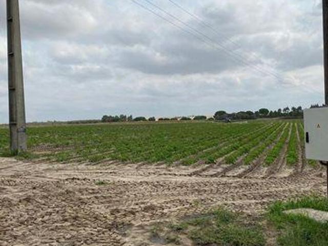 Terrenos Montijo Setubal DS96440319