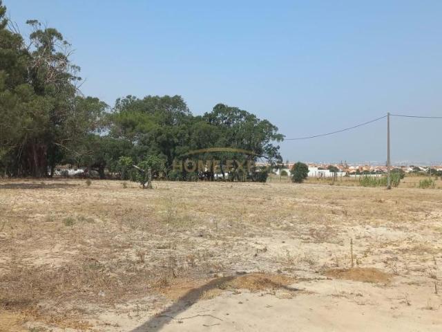 Terrenos Montijo Setúbal DS97254940
