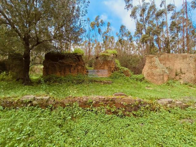 Terrenos Monchique Algarve DLS75786696