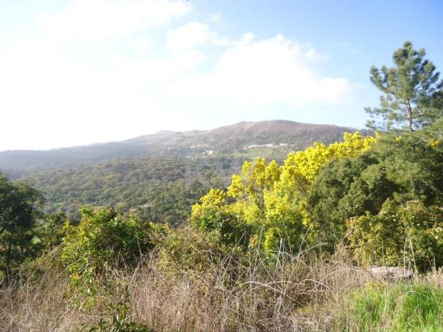 Terrenos Monchique Algarve DLS79782415
