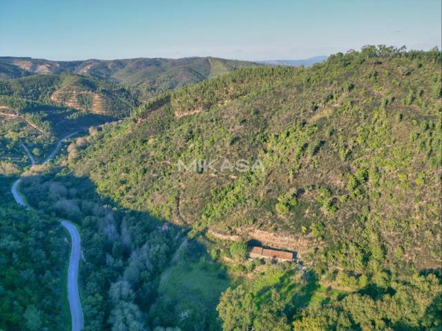 Terrenos Monchique Algarve DLS84639706