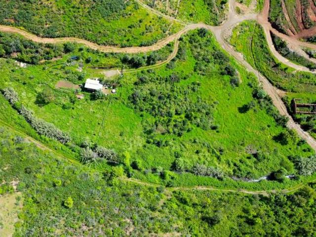 Terrenos Monchique Algarve DLS85572403