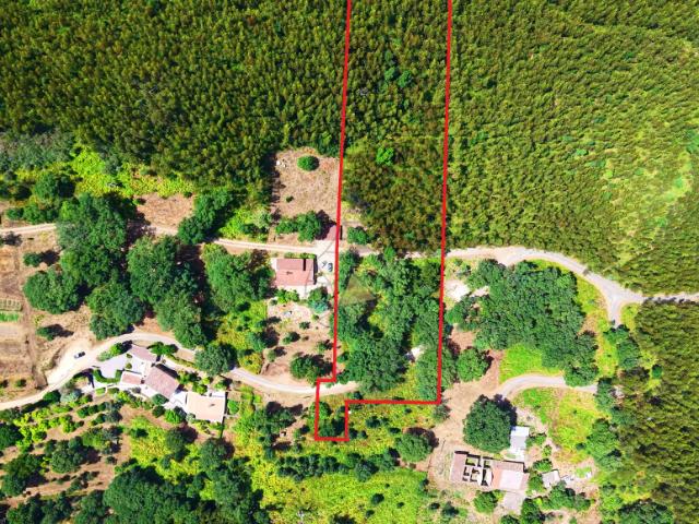 Terrenos Monchique Algarve DLS93982742