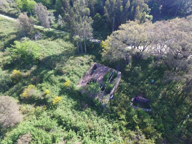 Terrenos Monchique Algarve DLS99722981