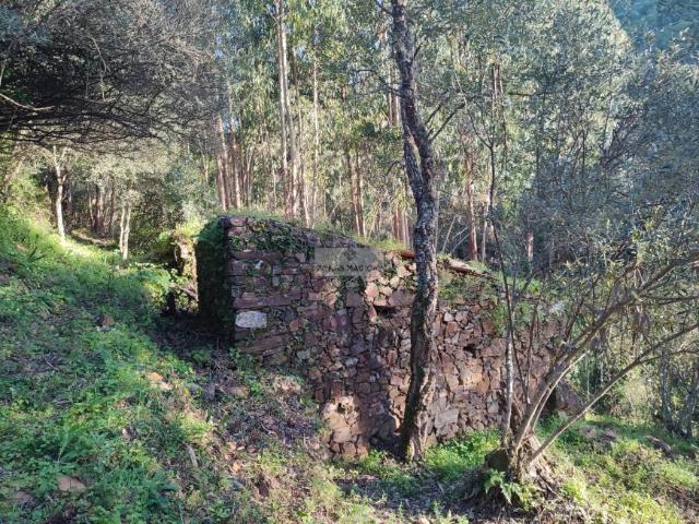 Terrenos Monchique Algarve DLS99722905