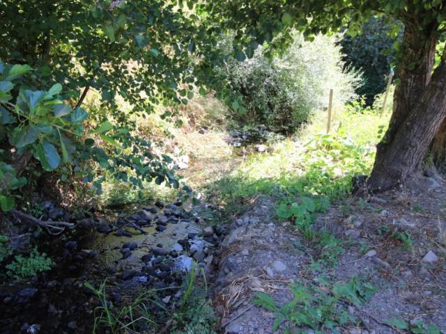 Terrenos Monchique Algarve DLS99722934