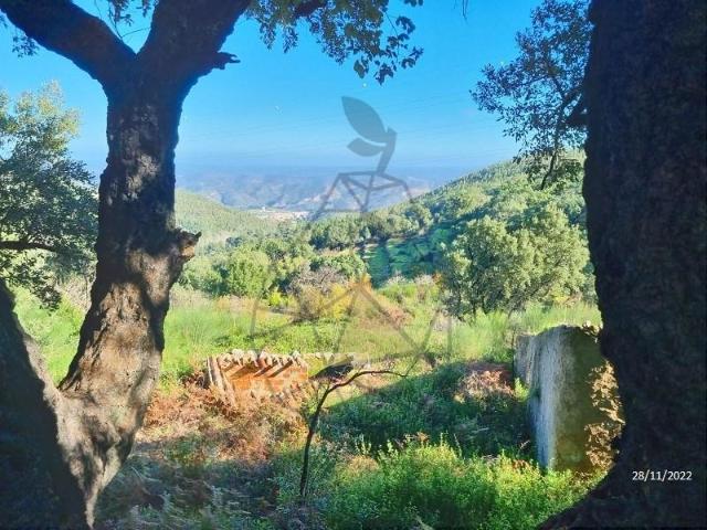 Terrenos Monchique Algarve DLS99723409
