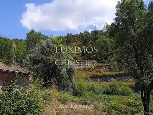 Terrenos Monchique FARO DLS96316486
