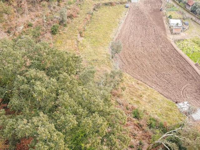 Terrenos Mondim de Basto Mondim de Basto DLS100394572