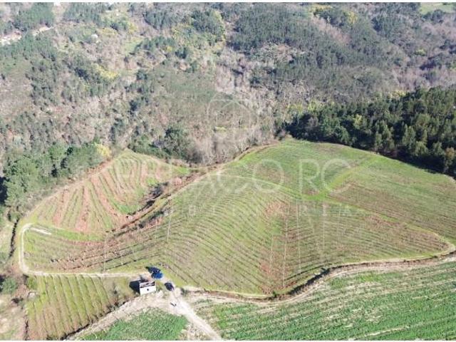 Terrenos Mondim de Basto Mondim de Basto DLS102222219