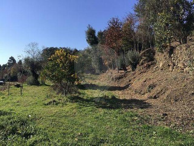 Terrenos Mondim De Basto Vila Real DLS100020361